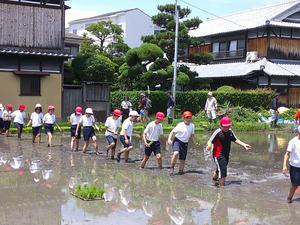 DSCF0561.JPG