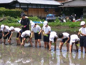 DSCF0621.JPG