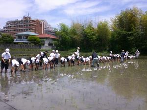 DSCF0637.JPG