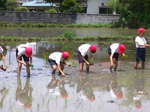 DSCF0671.JPG