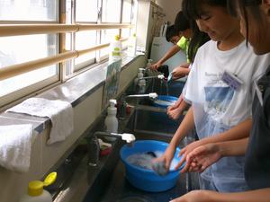 DSCF0952.JPG