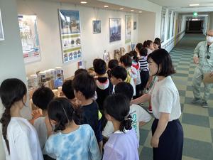 IMG_1469.jpeg