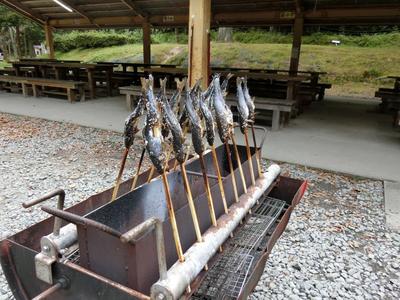 昼食(魚).JPG