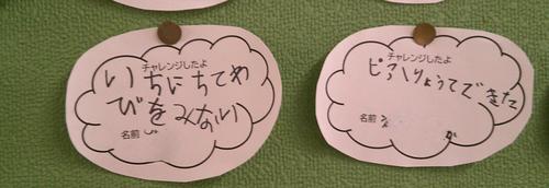 DSCF0070.JPG
