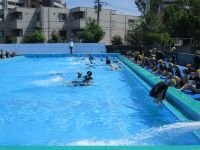 IMG_3422.JPG