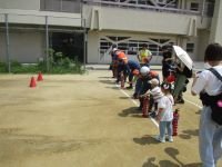 IMG_3456.JPG