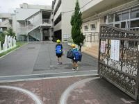 IMG_3533.JPG