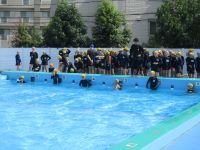 IMG_3567.JPG