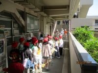 IMG_4460.JPG