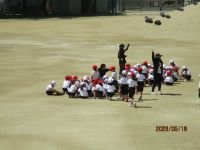 IMG_4464.JPG