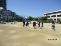 IMG_4466.JPG