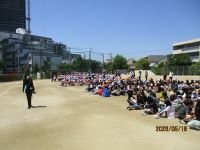 IMG_4467.JPG