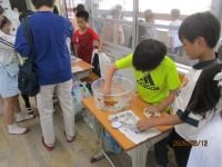 IMG_4524.JPG