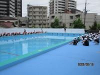 IMG_4533.JPG