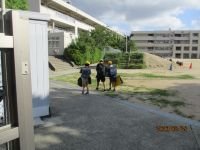 IMG_4600.JPG