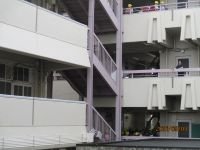 IMG_4646.JPG