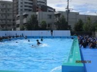 IMG_4651.JPG
