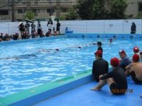 IMG_4655.JPG