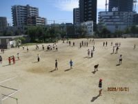 IMG_4693.JPG