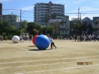 IMG_4716.JPG