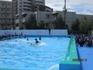 IMG_4651.JPG