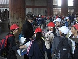CIMG0372.jpg