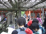 CIMG0427.jpg