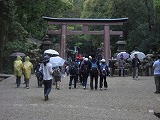 CIMG0432.jpg