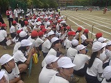 CIMG0611.jpg