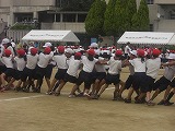 CIMG0616.jpg