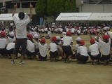 CIMG0632.jpg