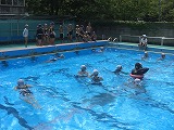 CIMG0931.jpg