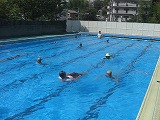CIMG0944.jpg