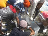 CIMG1143.jpg