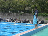 CIMG1417.jpg