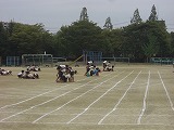 CIMG1538.jpg