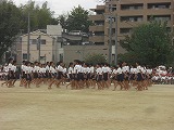 CIMG1655.jpg
