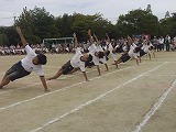 CIMG1663.jpg