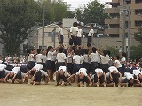 CIMG1703.jpg