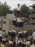 CIMG1716.jpg