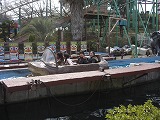 CIMG3719.jpg