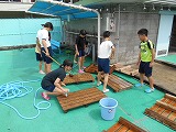 DSCN0186.jpg