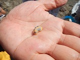DSCN6326.jpg