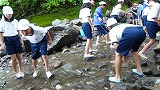 DSC01525.jpg