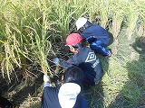 DSCN6084.jpg