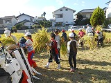 DSCN6086.jpg