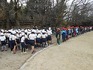 DSCN6505.jpg