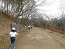 DSCN6506.jpg
