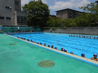 DSCN7979.jpg