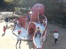 DSCN8429.jpg
